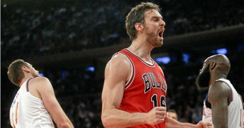 Gasol llegó a la NBA en el año 2001. Gasol llegó a la NBA en el año 2001.