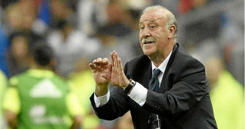 El seleccionador español durante un partido del Mundial 2014. El seleccionador español durante un partido del Mundial 2014.