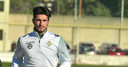 Piccini ha trabajado al margen durante toda la semana. Piccini ha trabajado al margen durante toda la semana.