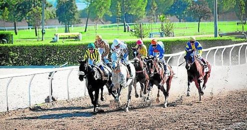Nueva cita con las carreras de caballos el próximo martes en el Hipódromo de Pineda. Nueva cita con las carreras de caballos el próximo martes en el Hipódromo de Pineda.
