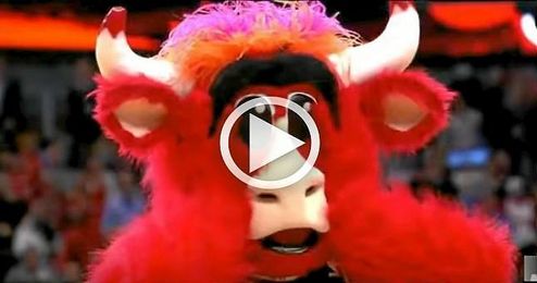 Lo mejor de la mascota de los Bulls Lo mejor de la mascota de los Bulls