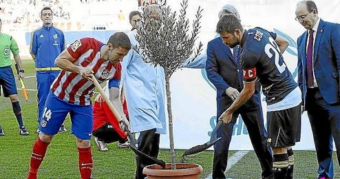 Gabi y Coke, plantando el ´Olivo de la paz´. Gabi y Coke, plantando el ´Olivo de la paz´.