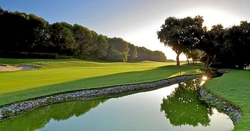 Imagen de las instalaciones de Valderrama, en San Roque. Imagen de las instalaciones de Valderrama, en San Roque.