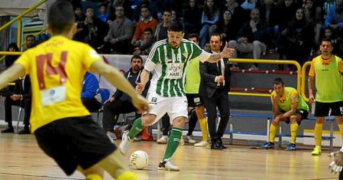 El Betis viaja a Cartagena sin miedo y con la ilusión por bandera. El Betis viaja a Cartagena sin miedo y con la ilusión por bandera.
