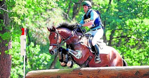 El caballo ´Hito CP´ será uno de los representantes sevillanos en los próximos Juegos Olímpicos de Río de Janeiro (Brasil). El caballo ´Hito CP´ será uno de los representantes sevillanos en los próximos Juegos Olímpicos de Río de Janeiro (Brasil).