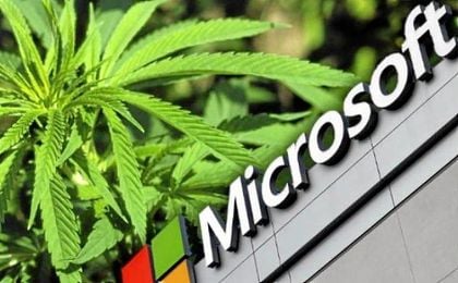 La venta legal de cannabis en Estados Unidos ha aumentado 700 millones en el último año. La venta legal de cannabis en Estados Unidos ha aumentado 700 millones en el último año.