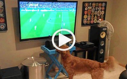 El perro futbolero, viral en las redes El perro futbolero, viral en las redes