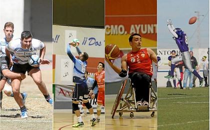Consulta todos los partidos del polideportivo andaluz Consulta todos los partidos del polideportivo andaluz