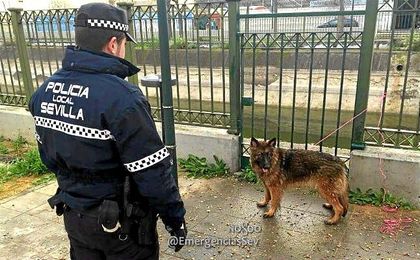 Rescatan a un perro en Torreblanca Rescatan a un perro en Torreblanca