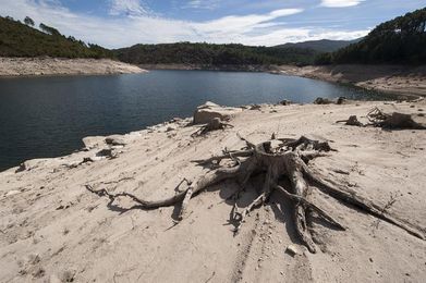 La Confederación Hidrográfica Miño-Sil decreta la alerta por sequía La Confederación Hidrográfica Miño-Sil decreta la alerta por sequía