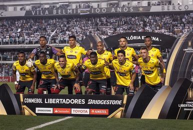 Diez de los doce clubes de la primera división de Ecuador, con Licencia FIFA Diez de los doce clubes de la primera división de Ecuador, con Licencia FIFA