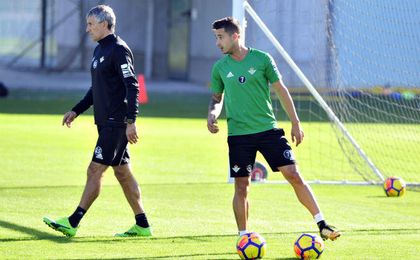 Los vampiros visitan la ciudad deportiva del Betis Los vampiros visitan la ciudad deportiva del Betis