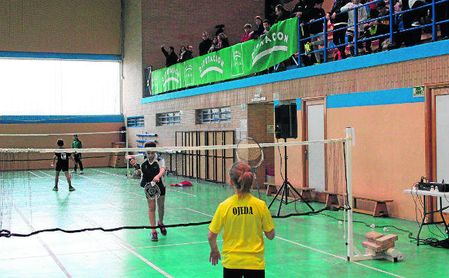 Bádminton de nivel en el pabellón Marina Alabau de Mairena del Alajarafe Bádminton de nivel en el pabellón Marina Alabau de Mairena del Alajarafe