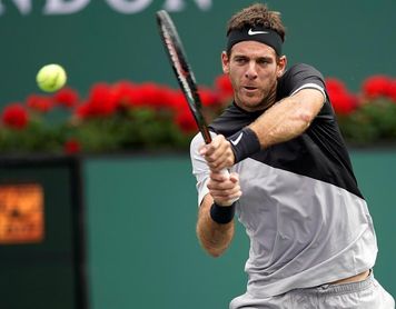 Del Potro elimina a Ferrer en tercera ronda Del Potro elimina a Ferrer en tercera ronda