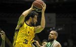 62-109. Metáfora de un curso verdiblanco indigno