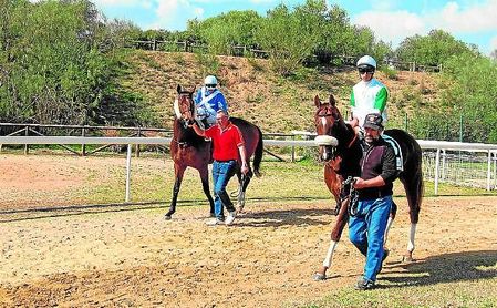 La temporada primaveral cierra en Dos Hermanas con cinco nuevas carreras. La temporada primaveral cierra en Dos Hermanas con cinco nuevas carreras.