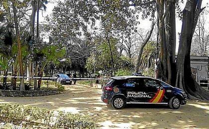El acusado de la violación mortal del parque insiste en que las relaciones fueron consentidas El acusado de la violación mortal del parque insiste en que las relaciones fueron consentidas