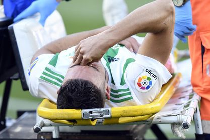 Zou Feddal se perderá lo que queda de temporada. Zou Feddal se perderá lo que queda de temporada.