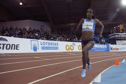 La plusmarquista mundial Genzebe Dibaba será la gran estrella en Sabadell La plusmarquista mundial Genzebe Dibaba será la gran estrella en Sabadell