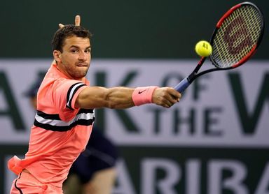 Dimitrov se lo quiere tomar con calma en Miami tras recuperarse de un virus Dimitrov se lo quiere tomar con calma en Miami tras recuperarse de un virus