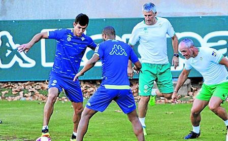 "En 40 años en el fútbol, no he visto una progresión como la de Mandi", admitía Setién este verano. "En 40 años en el fútbol, no he visto una progresión como la de Mandi", admitía Setién este verano.