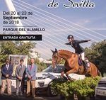 La 8ª Gran Semana Angloárabe, a punto