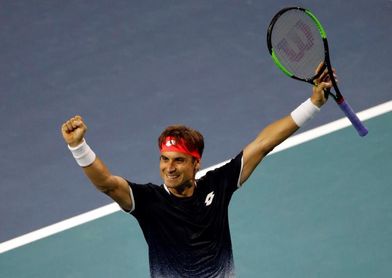 Ferrer logra hazaña de ganar a Zverev, el número dos, y pasa a tercera ronda Ferrer logra hazaña de ganar a Zverev, el número dos, y pasa a tercera ronda