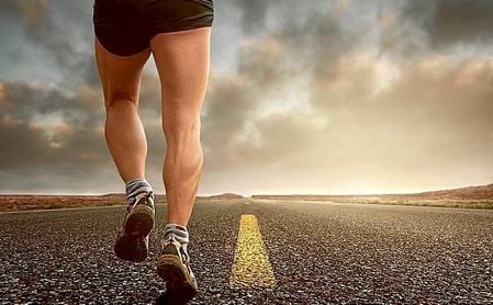 La función principal del colágeno es la de dar elasticidad y fuerza a los músculos. La función principal del colágeno es la de dar elasticidad y fuerza a los músculos.