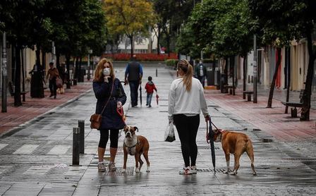 Las mascotas contagiadas de la covid-19 apenas desarrollan síntomas. Las mascotas contagiadas de la covid-19 apenas desarrollan síntomas.