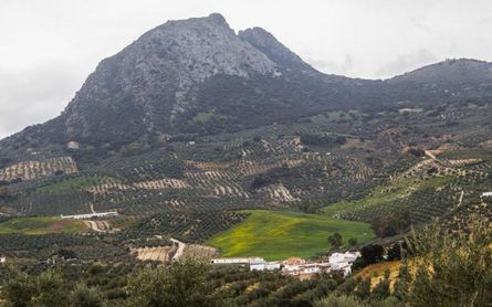 El Cordel de Morón, un 'mirador' con vistas al Peñón de Algámitas - Vimarsana News