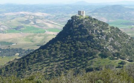 Castillo de Cote, recorriendo la frontera del Reino de Sevilla - Vimarsana News