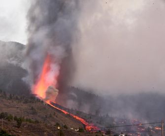 El deporte se vuelca con La Palma El deporte se vuelca con La Palma